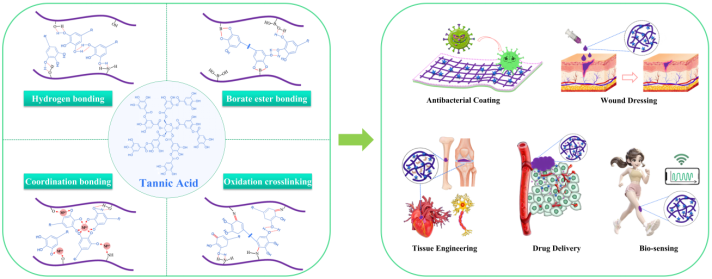 喜讯！beats365刘阳课题组本科生在知名期刊Chemical Engineering Journal发表重要综述论文